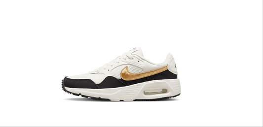 Nike Air Max sc Gold x black