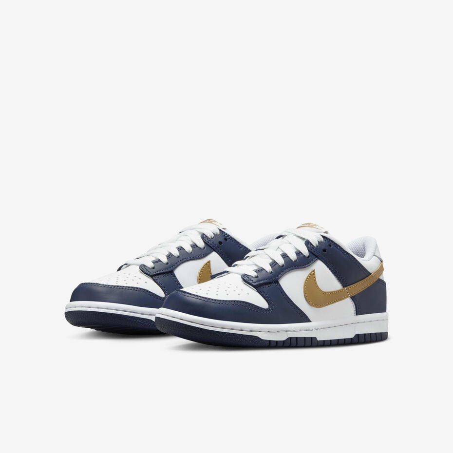 Nike Dunk low retro