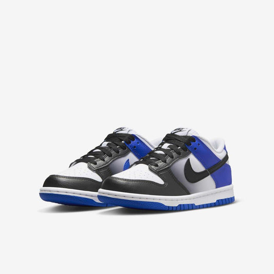 Nike dunk low retro