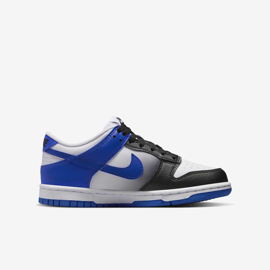 Nike dunk low retro