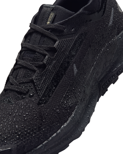 Nike Pegasus Trail 5 React x Goretex