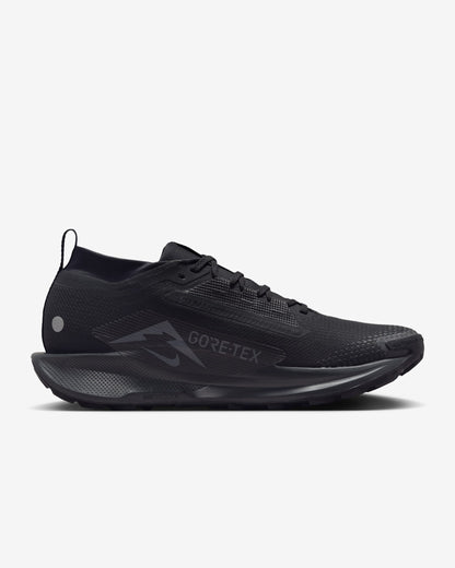 Nike Pegasus Trail 5 React x Goretex