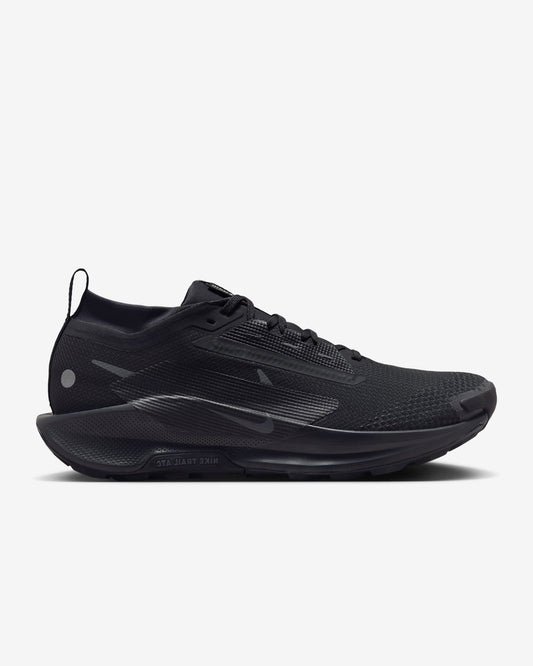 Nike Pegasus Trail 5 React x Goretex