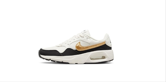 Nike Air Max sc Gold x black