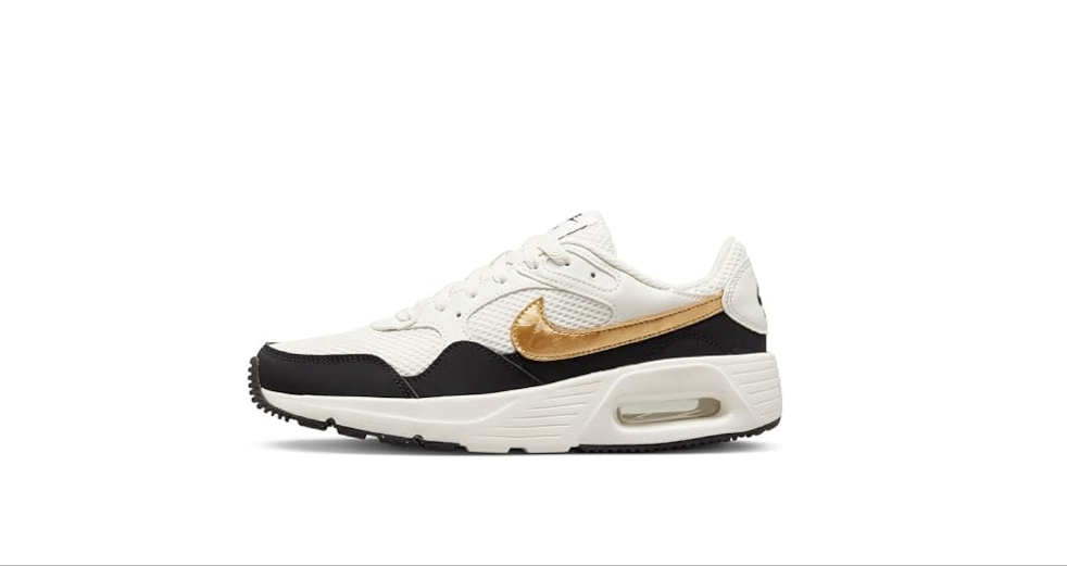 Nike Air Max sc Gold x black