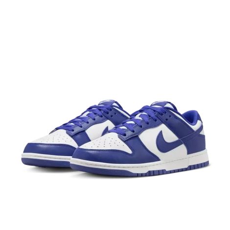Nike dunk low retro